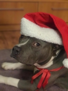 Buon Natale… Buono anche per il nostro pianeta