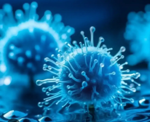 Esosomi le fantastiche particelle