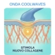 produzione nuovo collagene